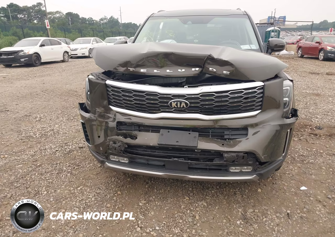 2020 Kia Telluride Sx VIN:5XYP5DHC4LG002659 - 11