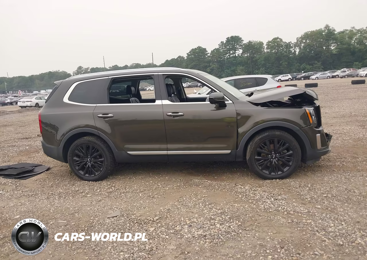 2020 Kia Telluride Sx VIN:5XYP5DHC4LG002659 - 12