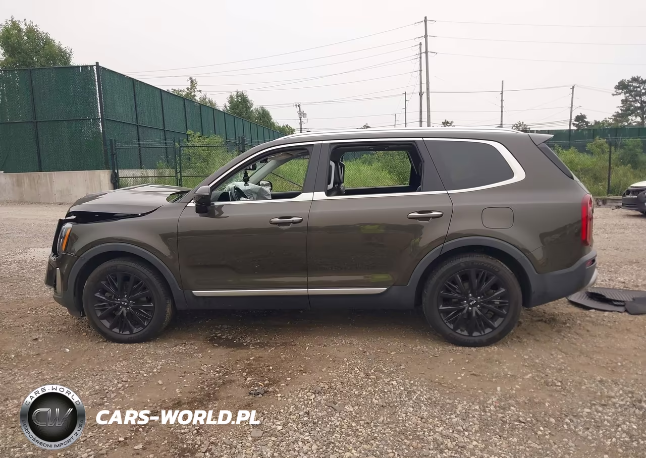 2020 Kia Telluride Sx VIN:5XYP5DHC4LG002659 - 13