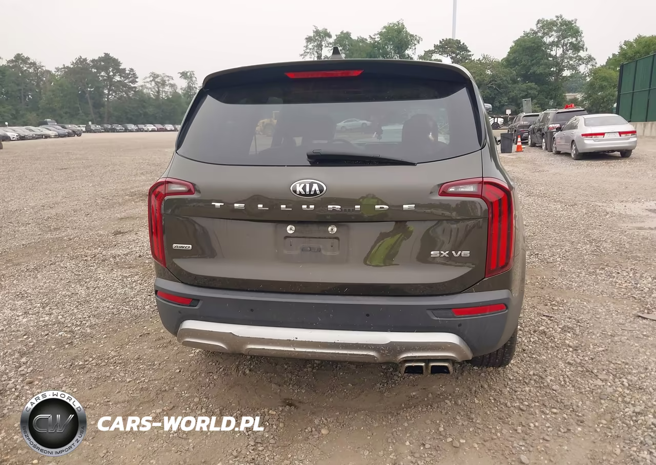 2020 Kia Telluride Sx VIN:5XYP5DHC4LG002659 - 15