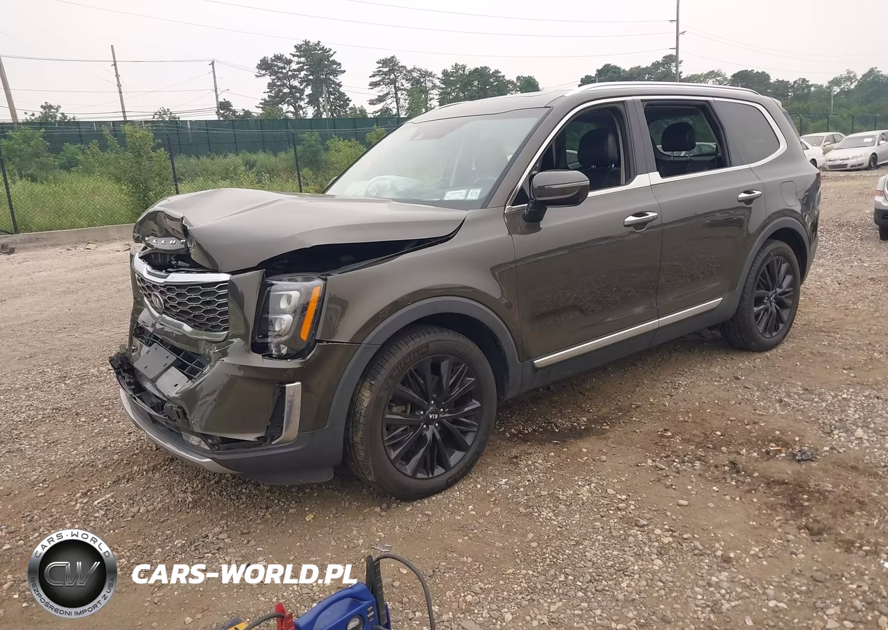 2020 Kia Telluride Sx VIN:5XYP5DHC4LG002659 - 2