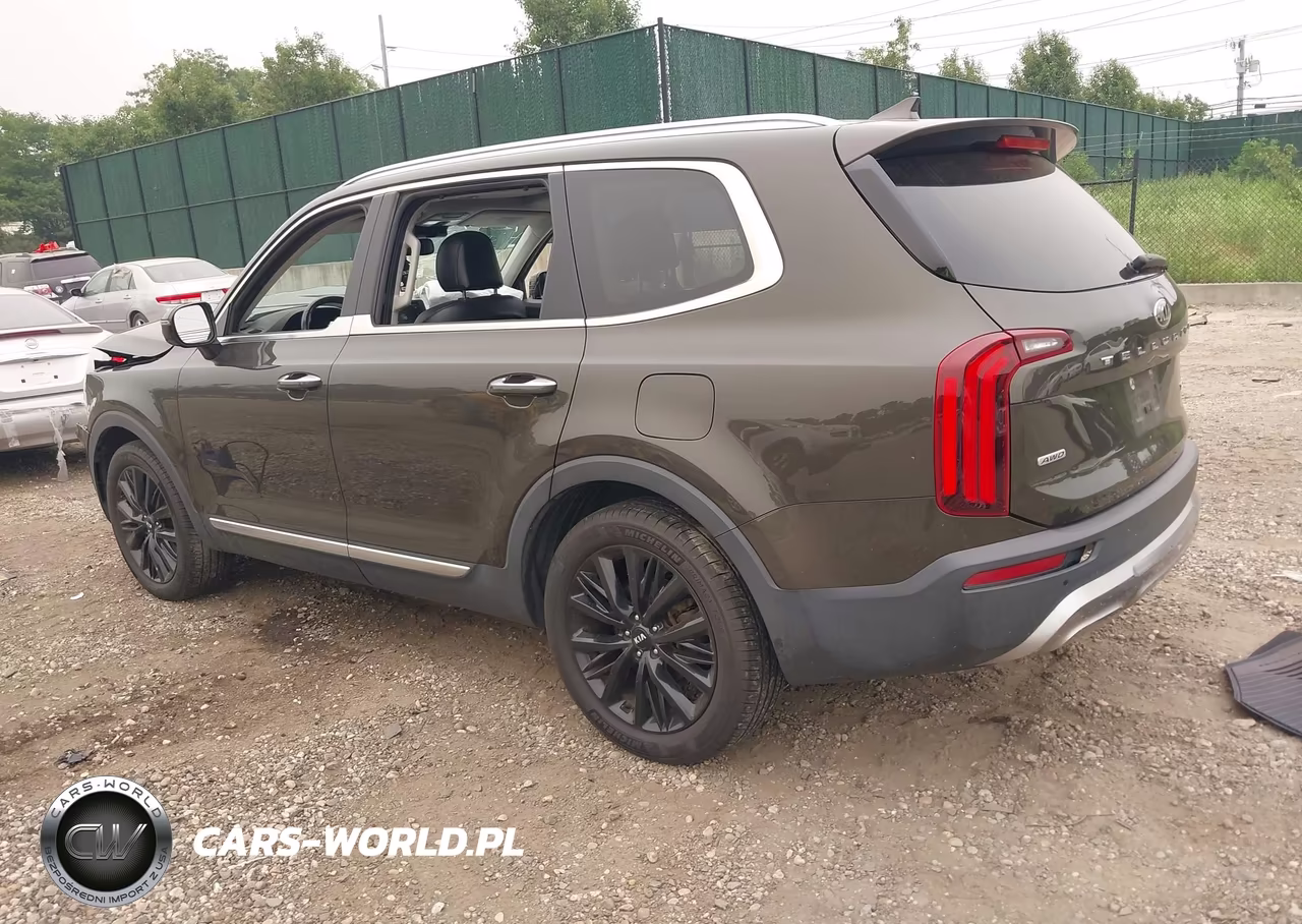 2020 Kia Telluride Sx VIN:5XYP5DHC4LG002659 - 3