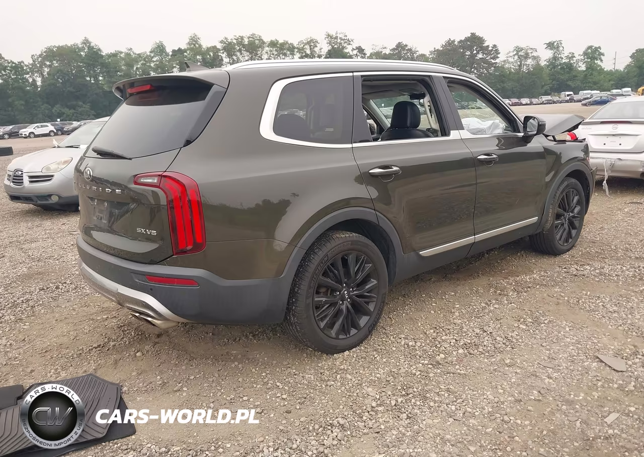 2020 Kia Telluride Sx VIN:5XYP5DHC4LG002659 - 4