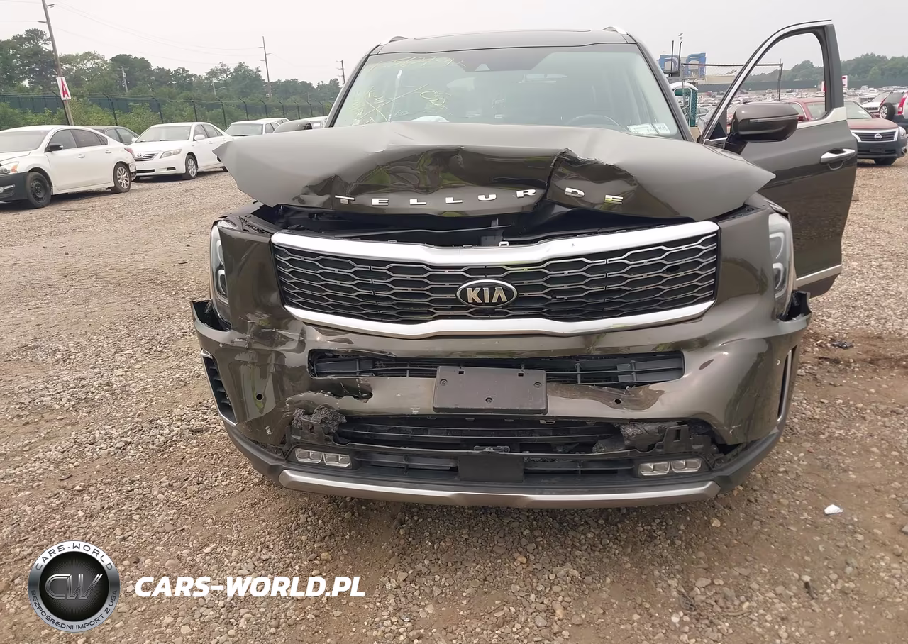2020 Kia Telluride Sx VIN:5XYP5DHC4LG002659 - 6