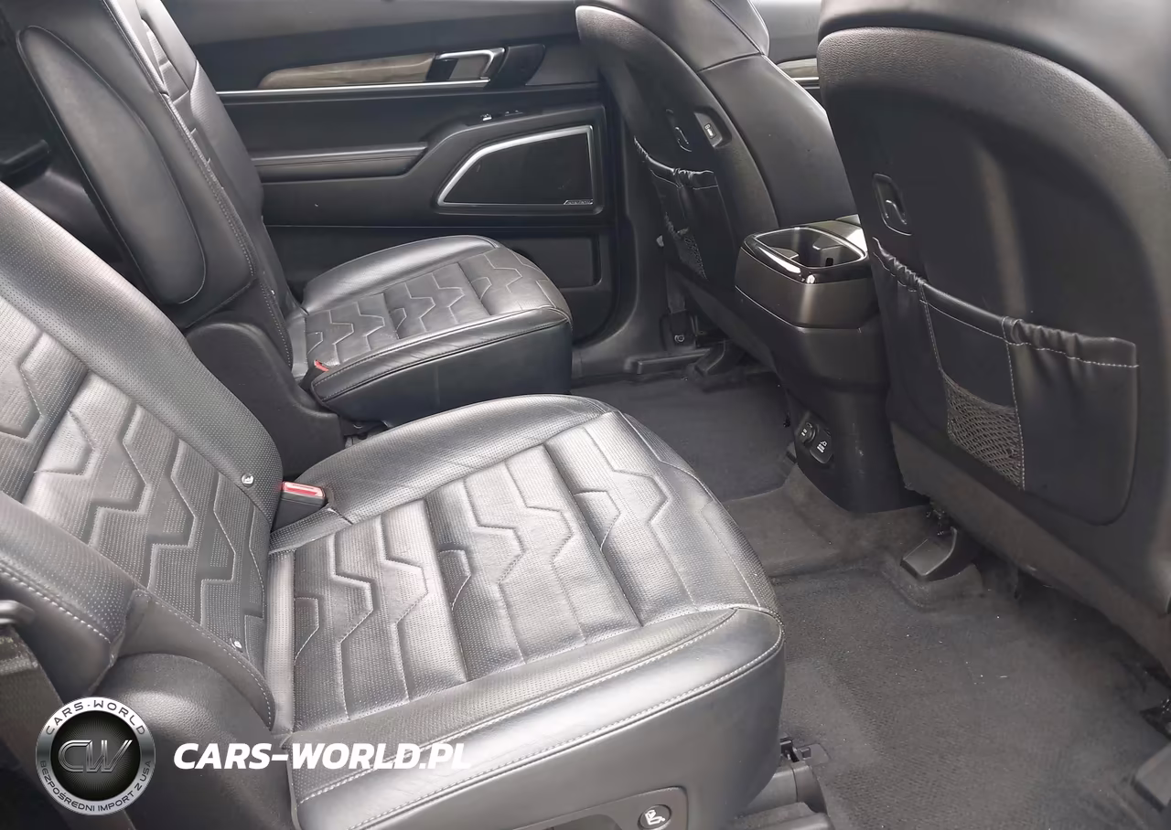 2020 Kia Telluride Sx VIN:5XYP5DHC4LG002659 - 8