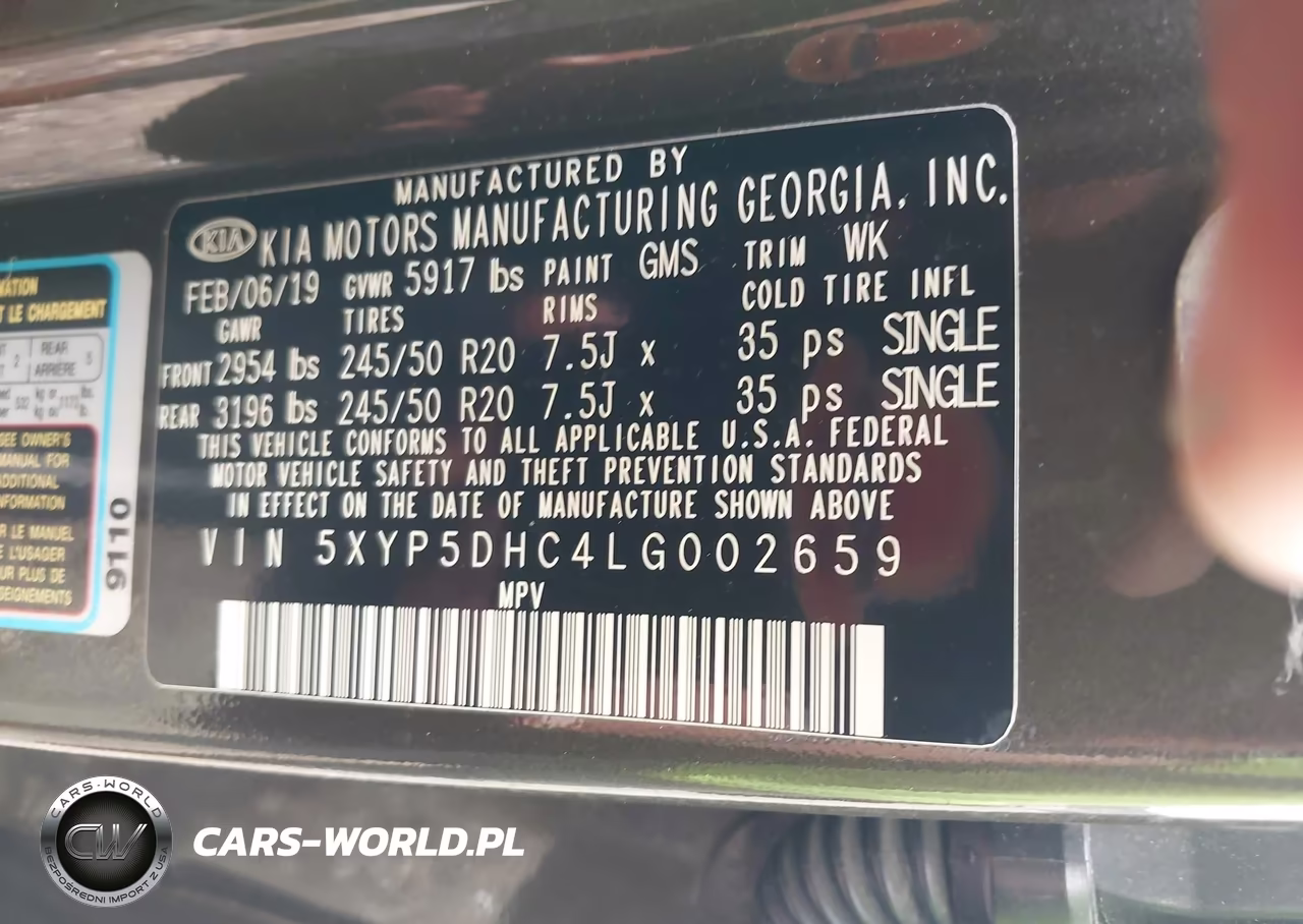 2020 Kia Telluride Sx VIN:5XYP5DHC4LG002659 - 9