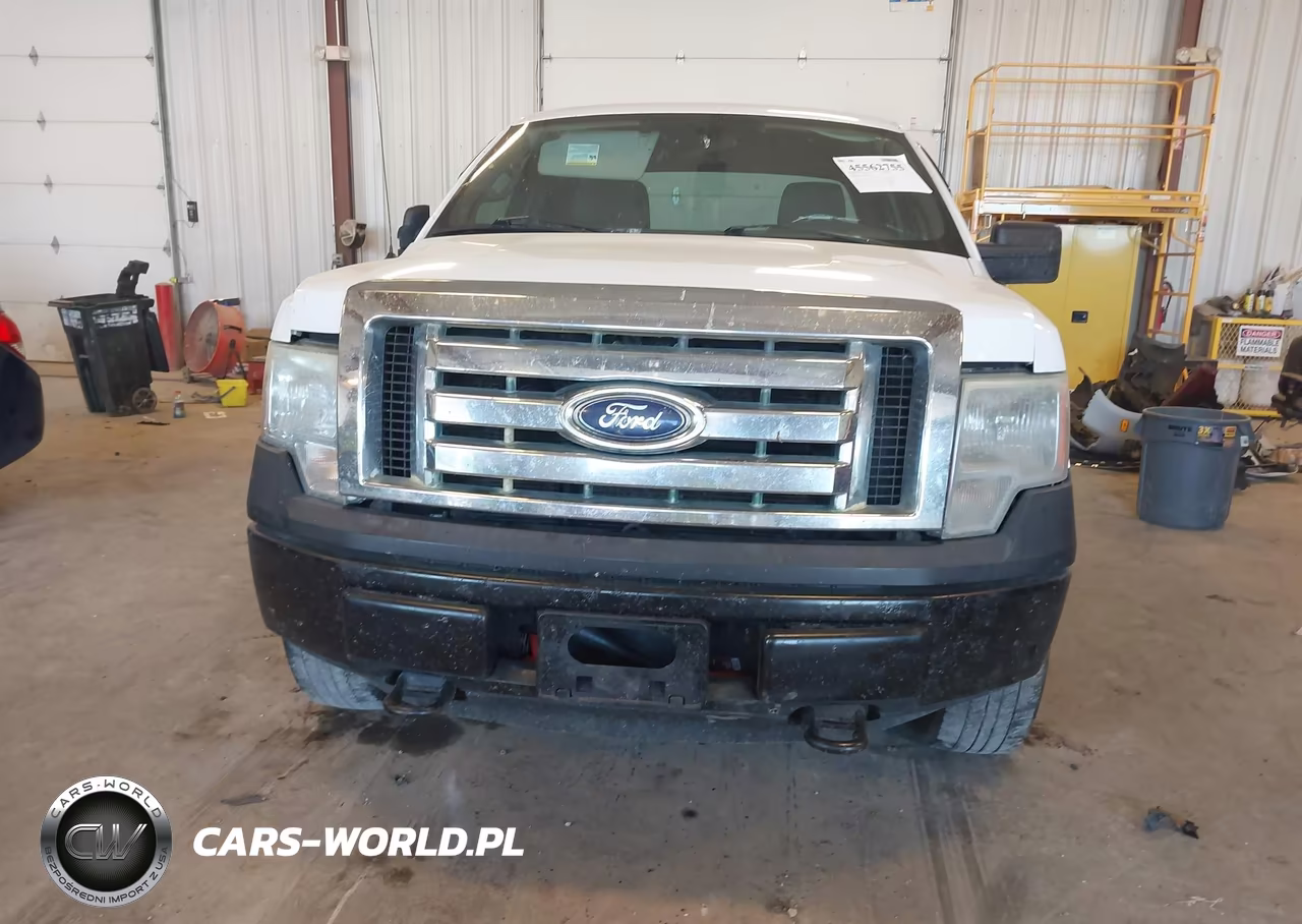 2010 Ford F-150 Xl VIN:1FTEX1EW4AFB25733 - 12