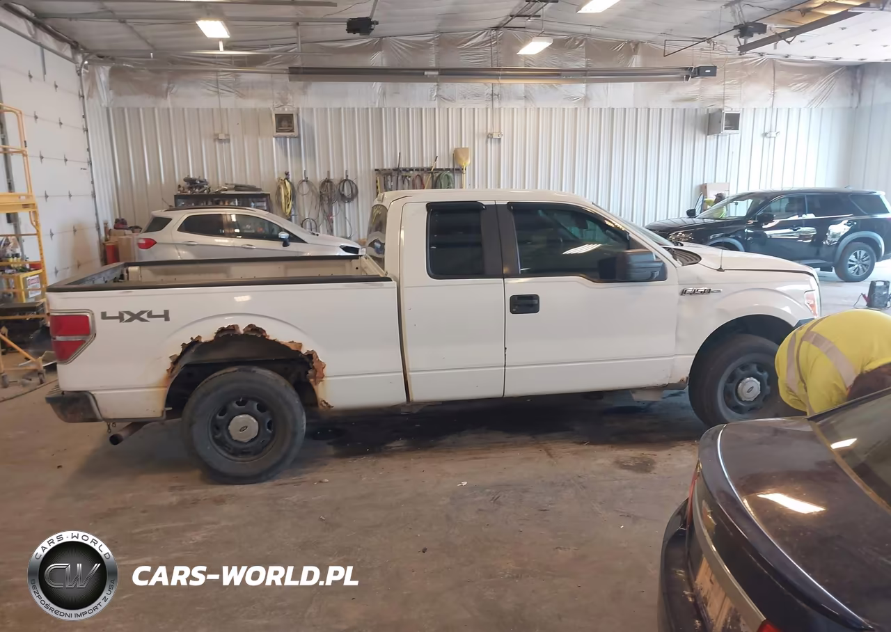2010 Ford F-150 Xl VIN:1FTEX1EW4AFB25733 - 13