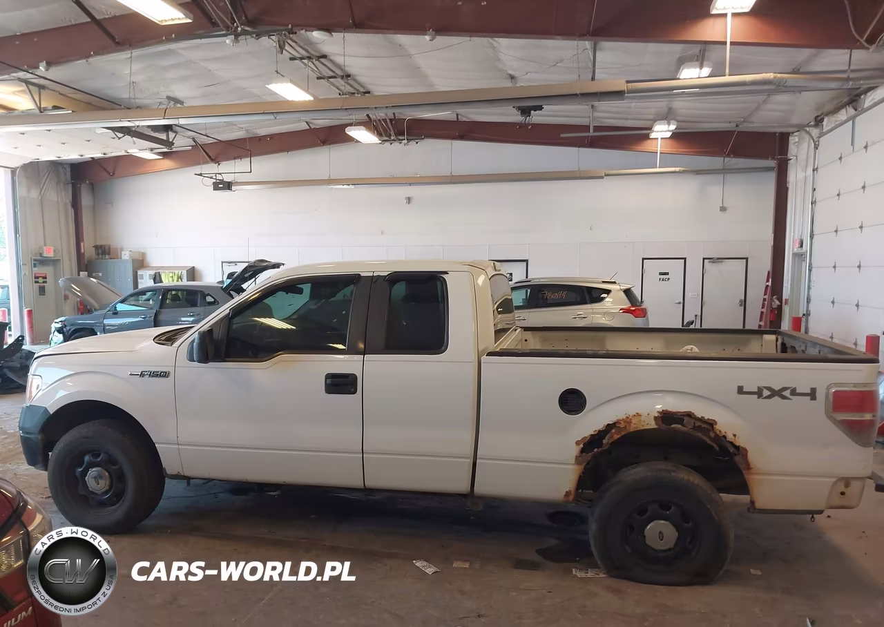 2010 Ford F-150 Xl VIN:1FTEX1EW4AFB25733 - 14
