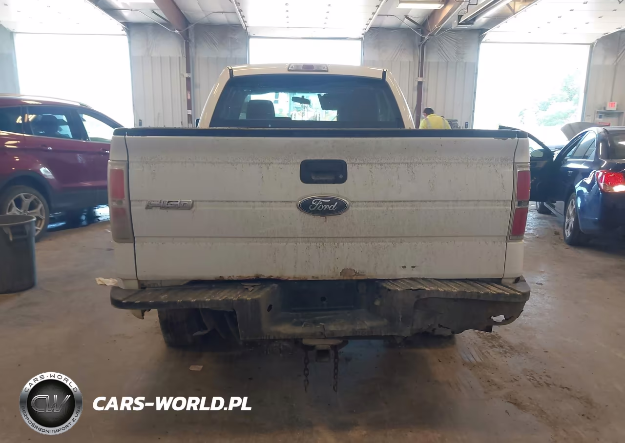 2010 Ford F-150 Xl VIN:1FTEX1EW4AFB25733 - 16