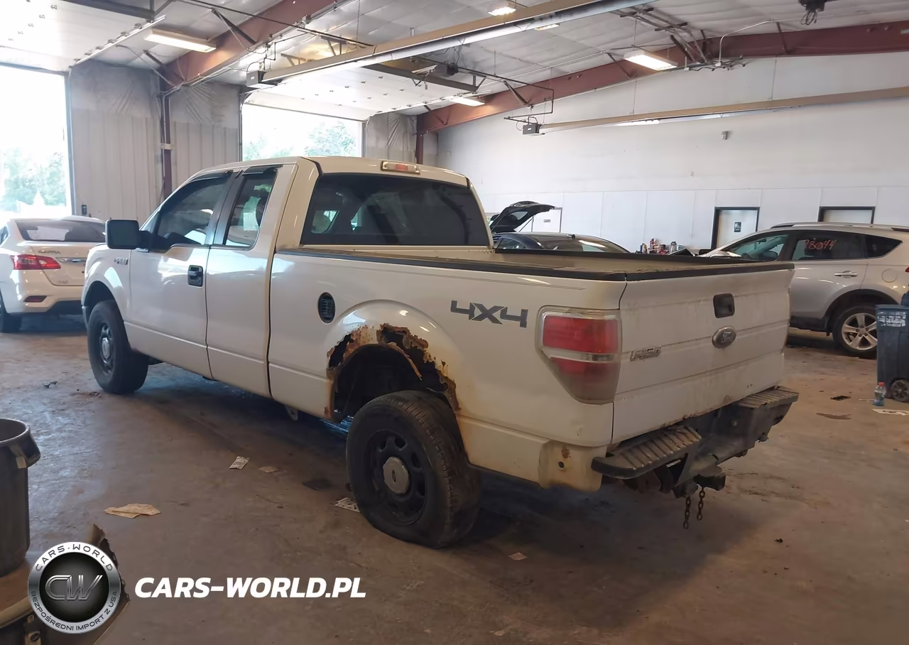 2010 Ford F-150 Xl VIN:1FTEX1EW4AFB25733 - 3