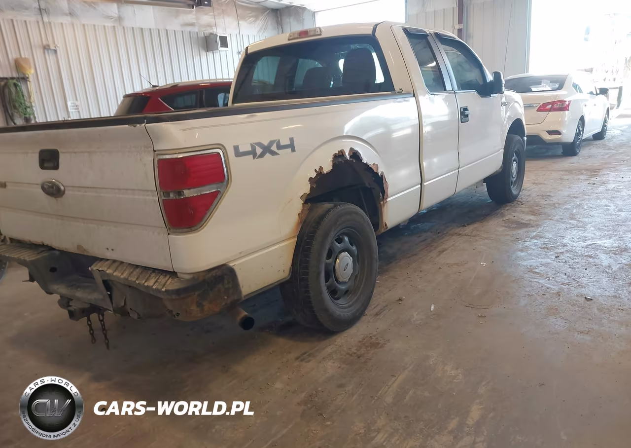 2010 Ford F-150 Xl VIN:1FTEX1EW4AFB25733 - 4
