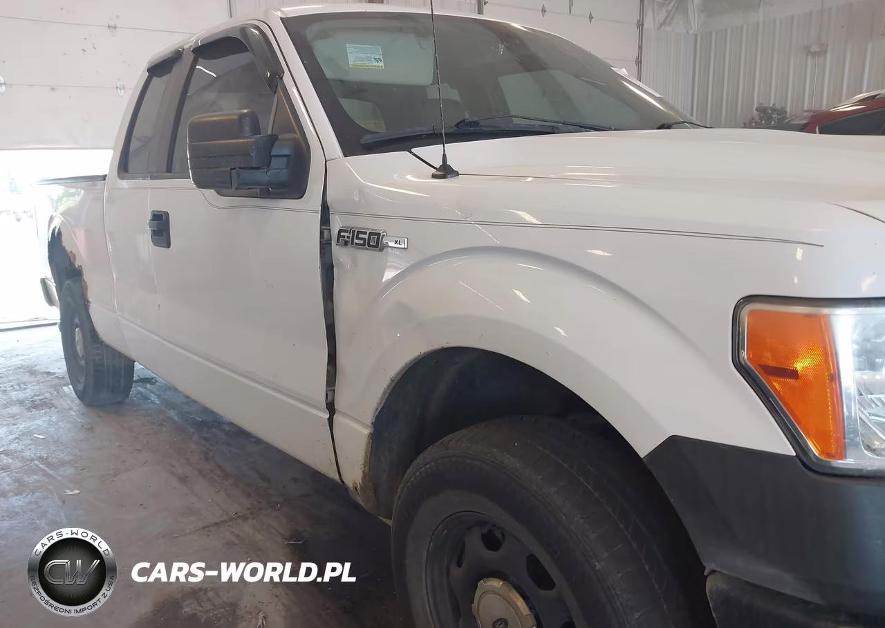 2010 Ford F-150 Xl VIN:1FTEX1EW4AFB25733 - 6