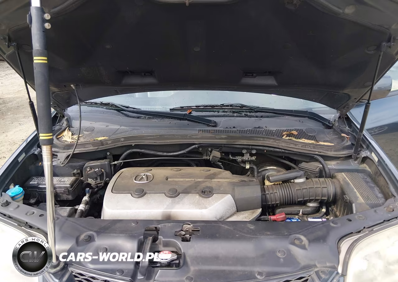 2006 Acura Mdx VIN:2HNYD18866H540927 - 10
