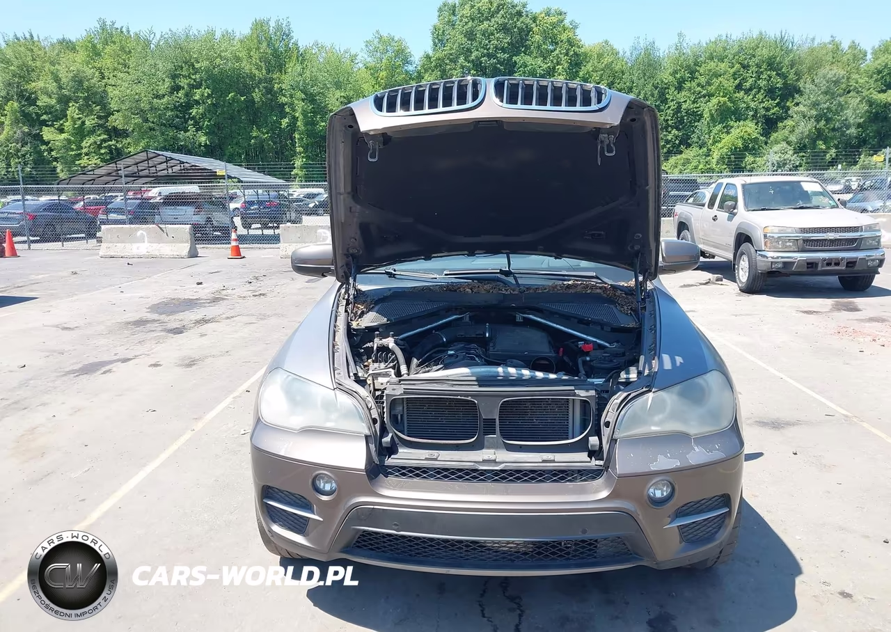 2012 BMW X5 xDrive35I-xDrive35I Premium-xDrive35I Sport Activity VIN:5UXZV4C53CL747665 - 10