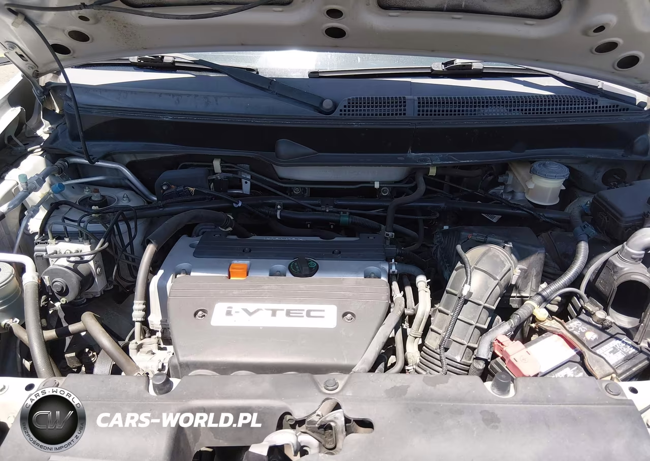 2009 Honda Element Sc VIN:5J6YH18999L003215 - 10