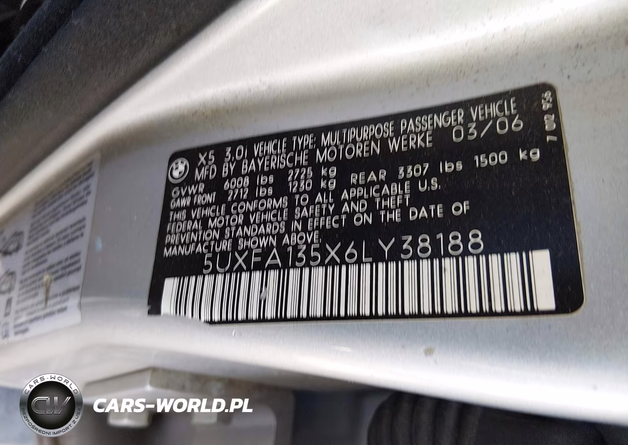 2006 BMW X5 3.0I VIN:5UXFA135X6LY38188 - 9