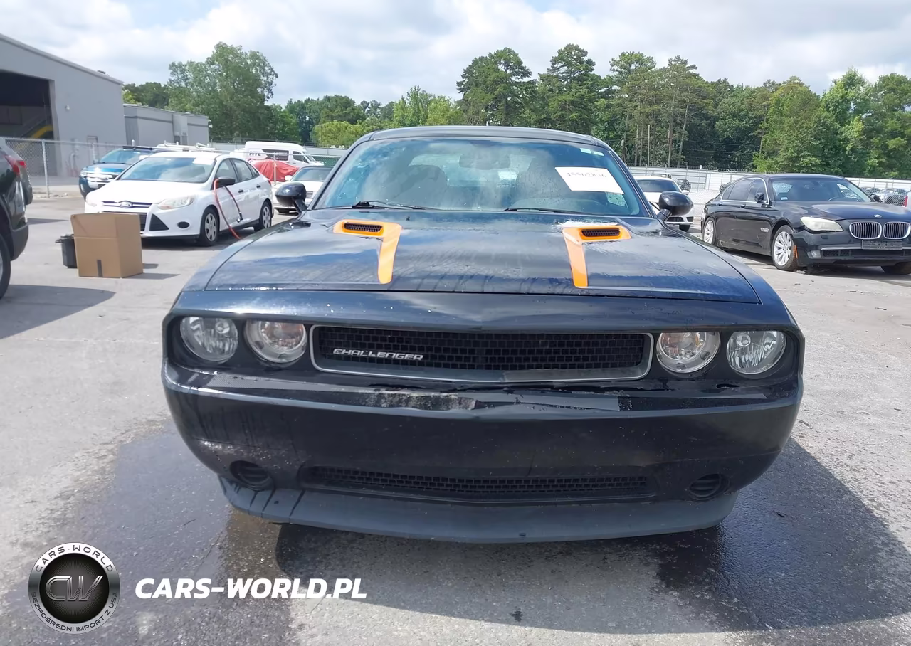 2013 Dodge Challenger Sxt VIN:2C3CDYAG8DH510789 - 12
