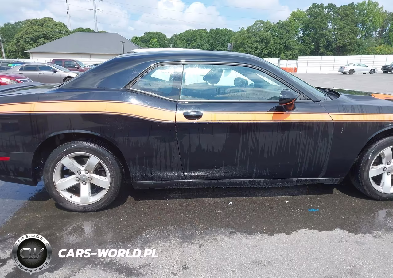 2013 Dodge Challenger Sxt VIN:2C3CDYAG8DH510789 - 13