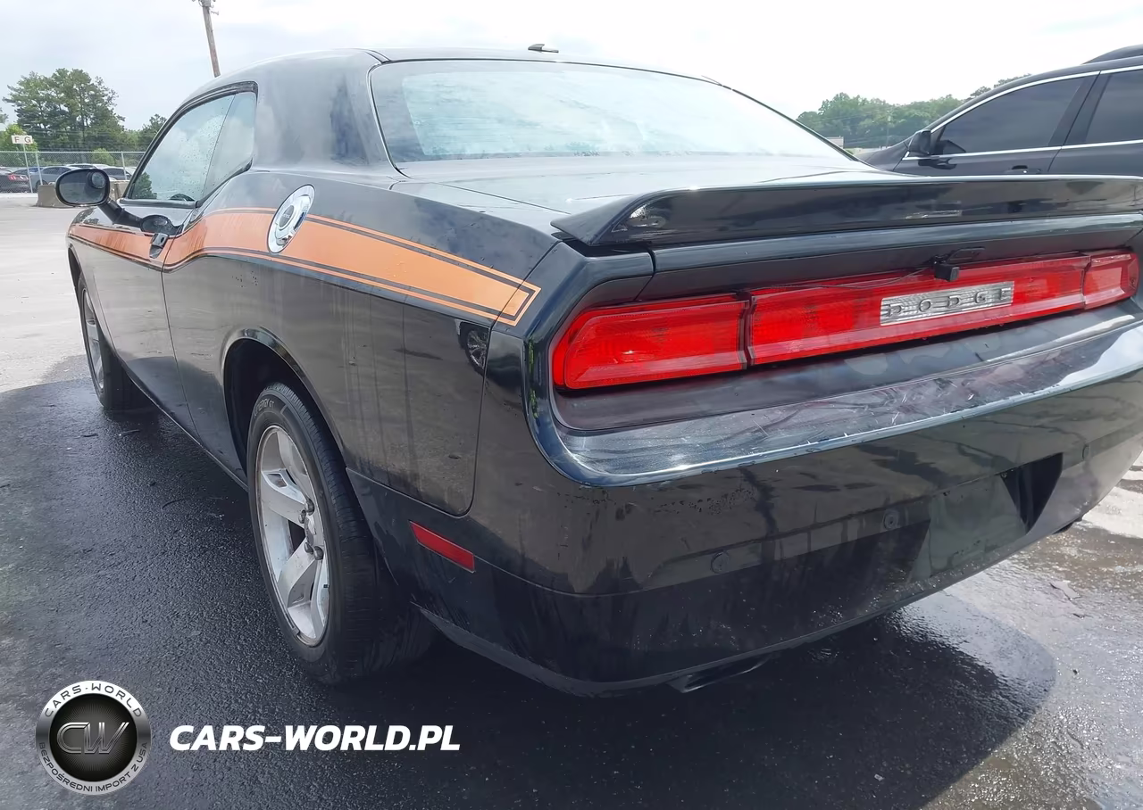 2013 Dodge Challenger Sxt VIN:2C3CDYAG8DH510789 - 17