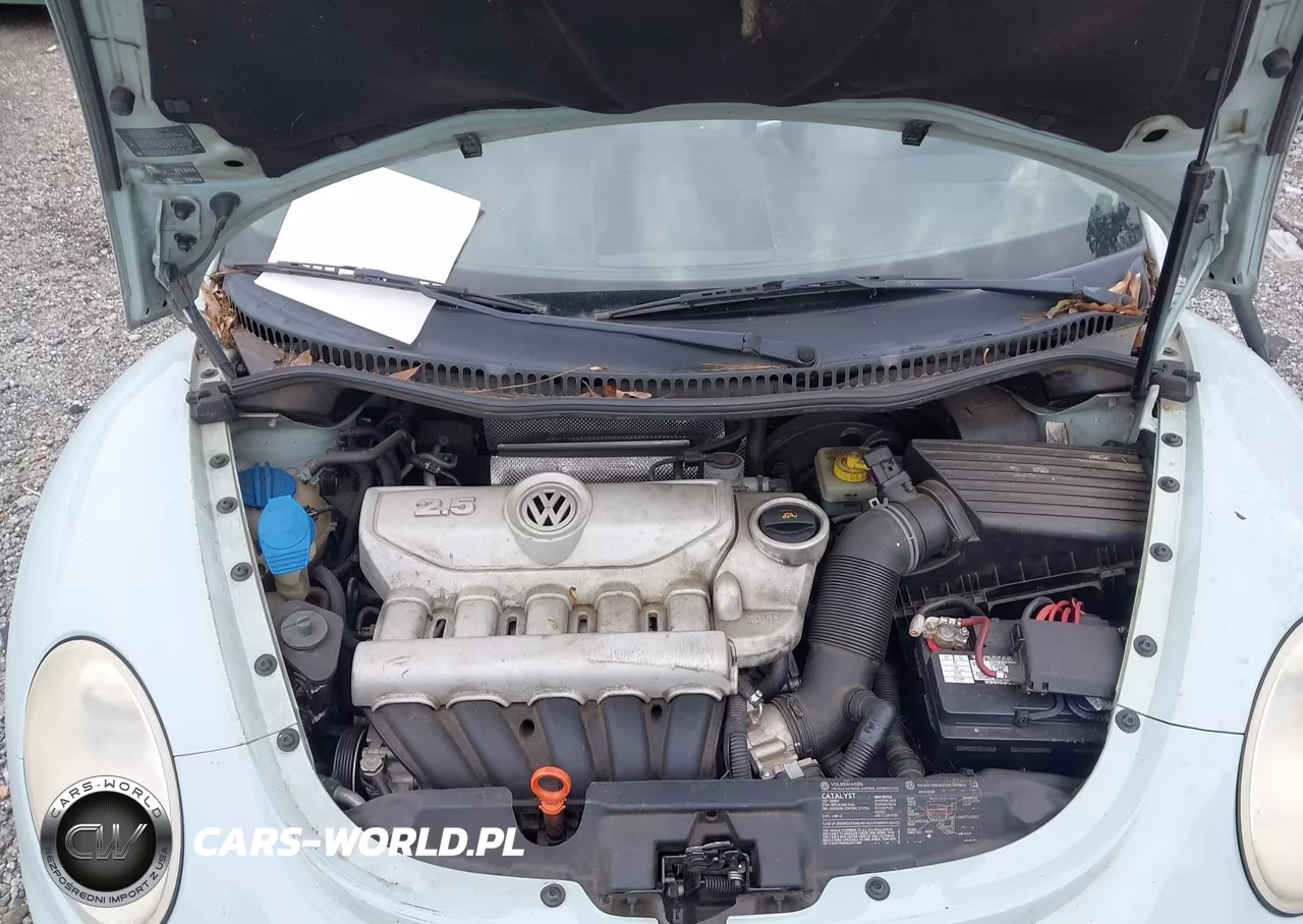 2006 Volkswagen New Beetle 2.5 VIN:3VWPF31Y16M311796 - 10