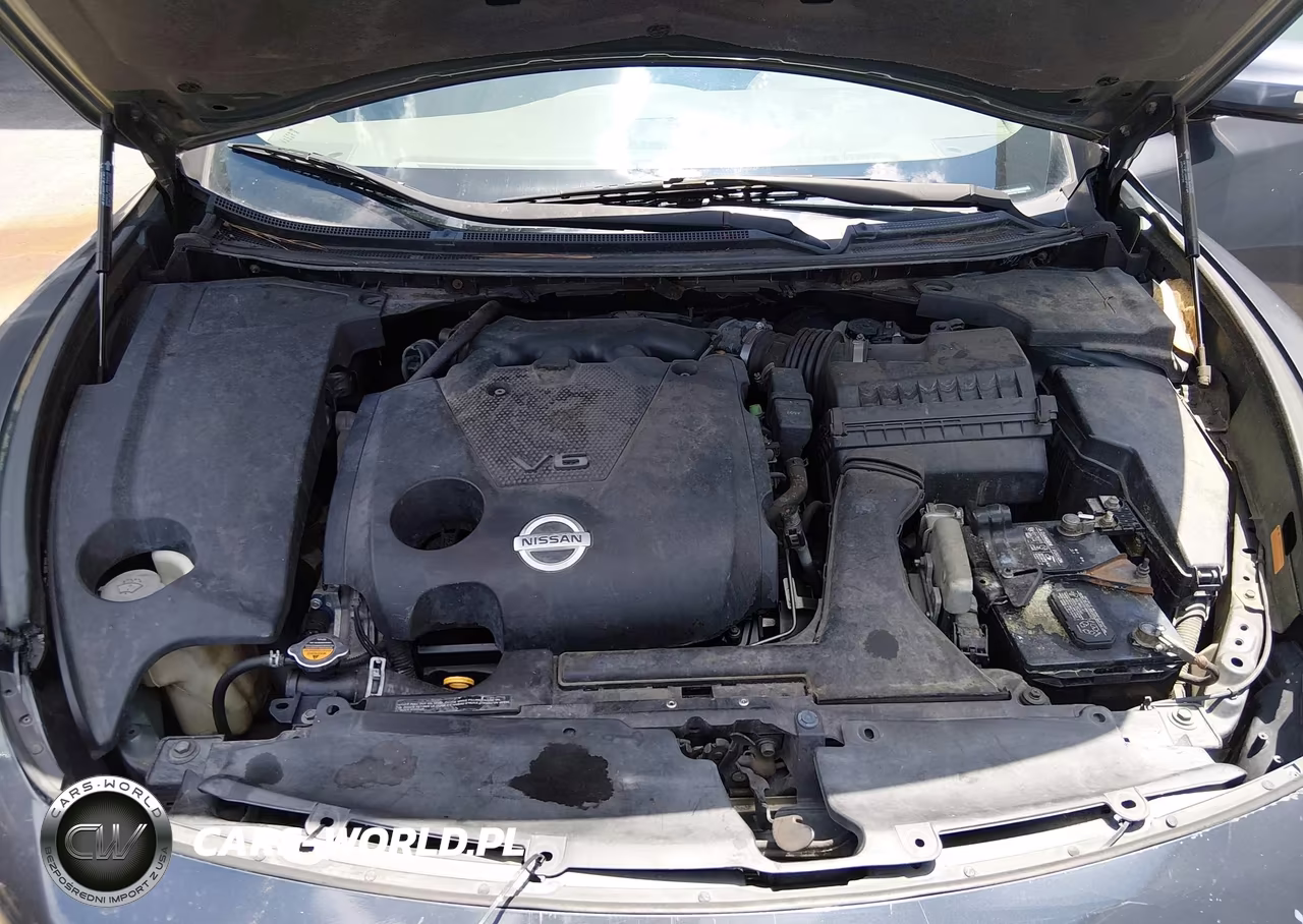 2009 Nissan Maxima 3.5 Sv VIN:1N4AA51E89C806484 - 10