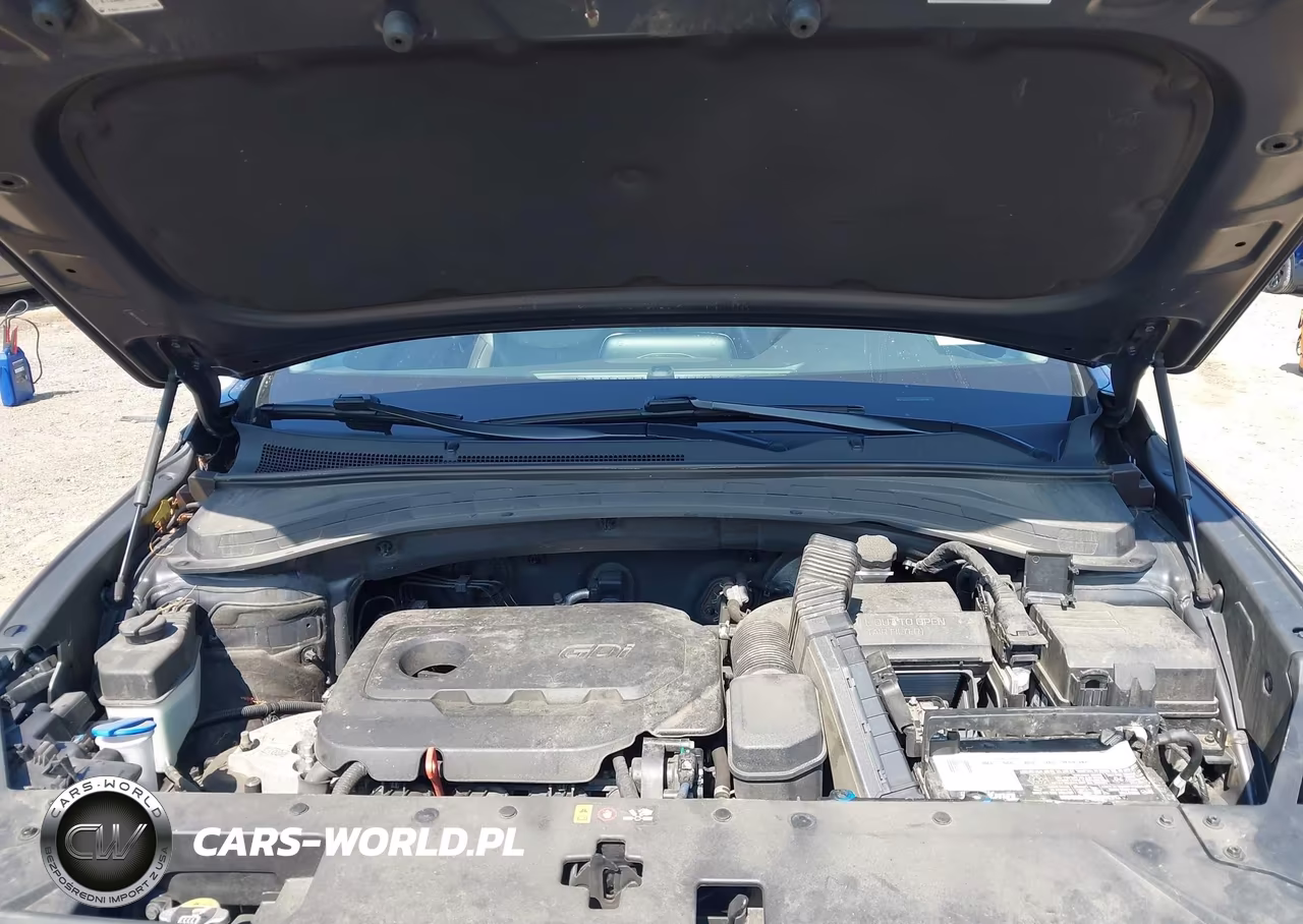 2020 Hyundai Santa Fe Sel VIN:5NMS3CAD7LH185638 - 10