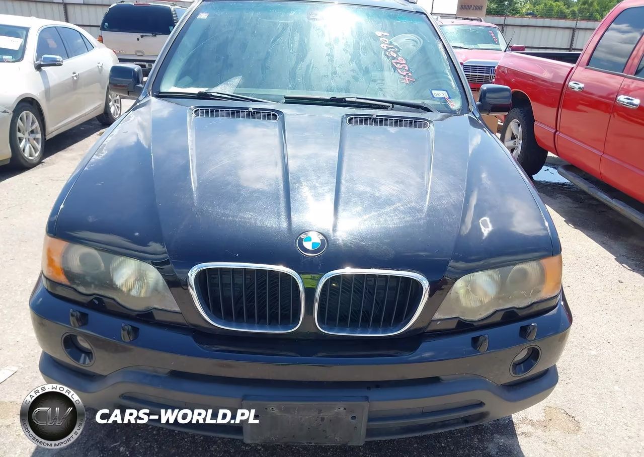 2001 BMW X5 3.0 VIN:WBAFA53511LM89632 - 10