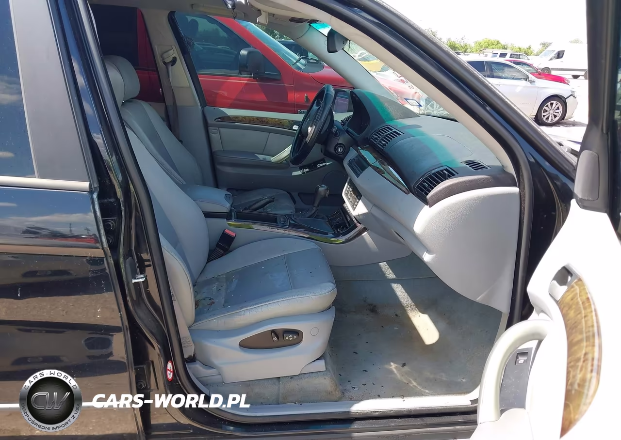 2001 BMW X5 3.0 VIN:WBAFA53511LM89632 - 5