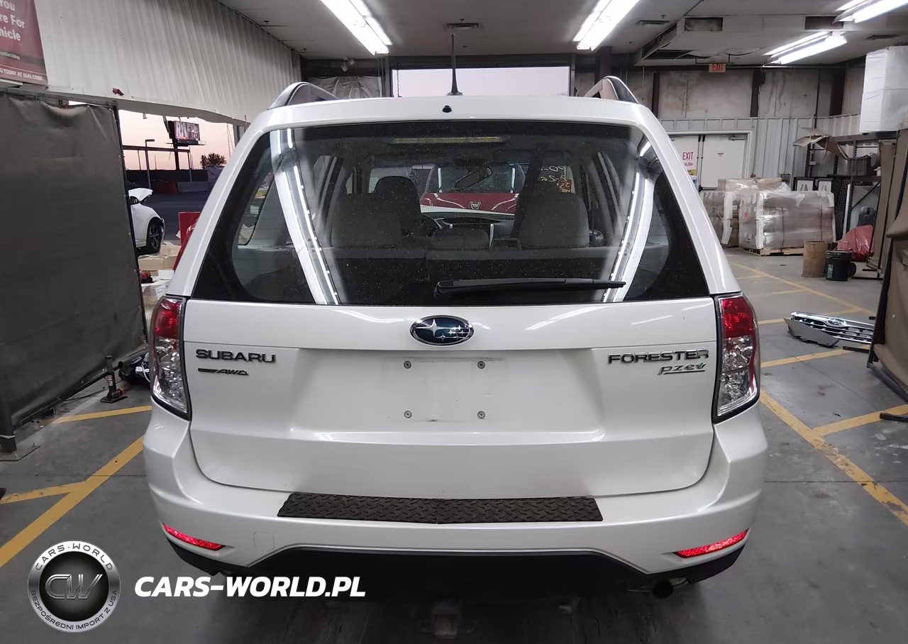 2013 Subaru Forester 2.5X VIN:JF2SHABC1DH442695 - 17