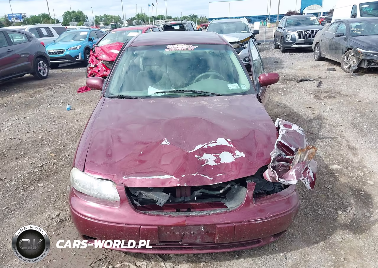2001 Chevrolet Malibu Ls VIN:1G1NE52JX16241176 - 12