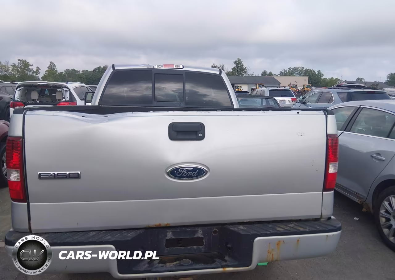2005 Ford F-150 Stx-Xl-Xlt VIN:1FTRX14WX5FA92861 - 16