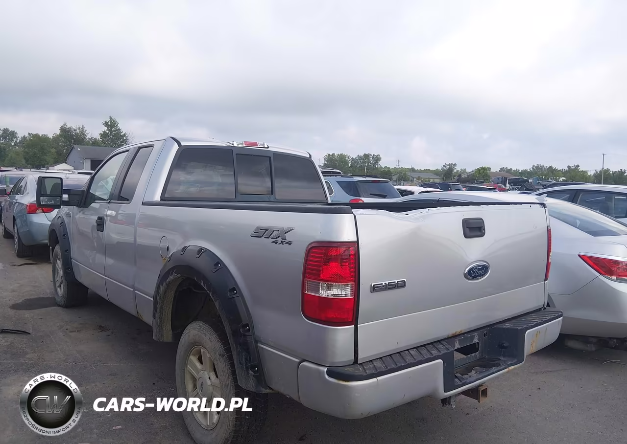 2005 Ford F-150 Stx-Xl-Xlt VIN:1FTRX14WX5FA92861 - 3