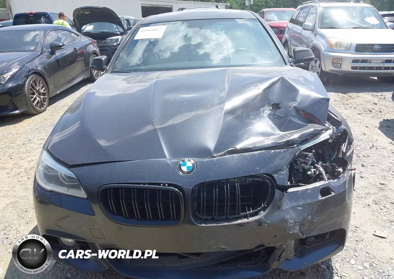 2014 BMW 535I VIN:WBA5B1C59ED481246 - 12