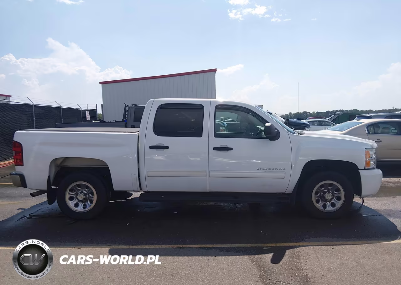 2010 Chevrolet Silverado 1500 Ls VIN:3GCRCREA8AG244786 - 13