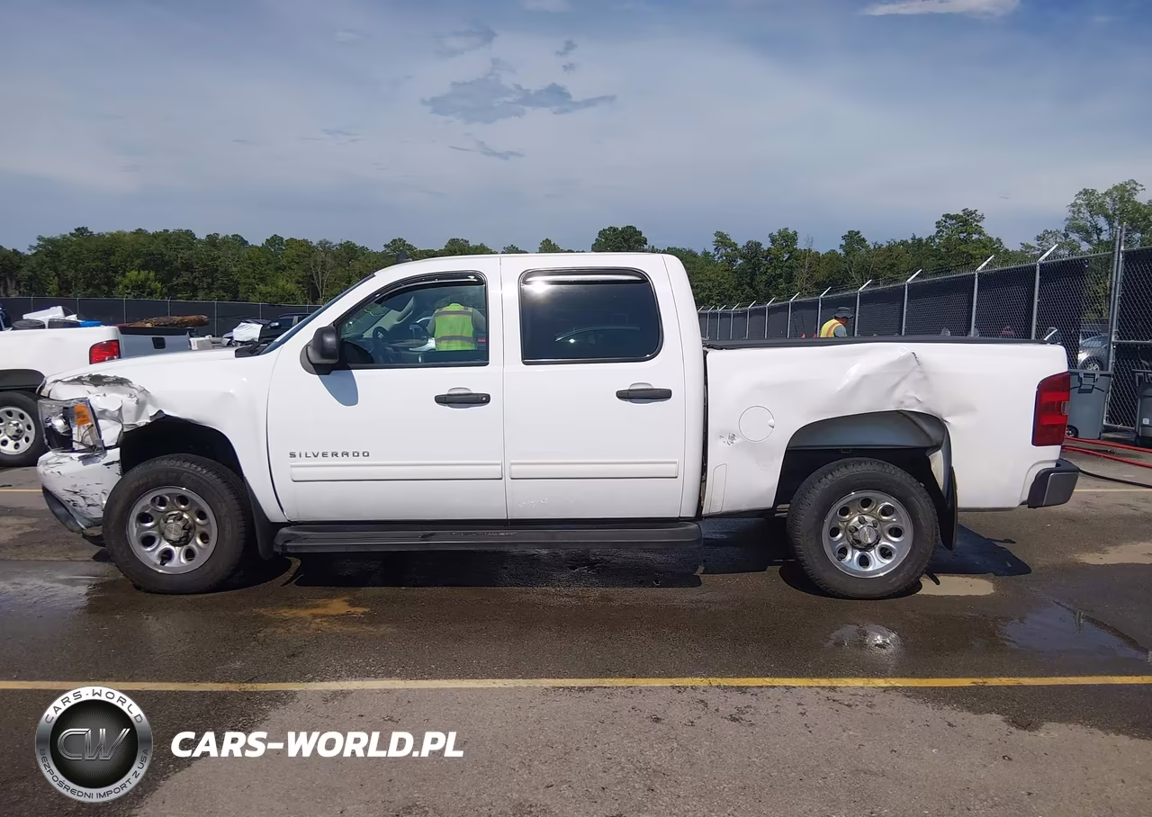 2010 Chevrolet Silverado 1500 Ls VIN:3GCRCREA8AG244786 - 14