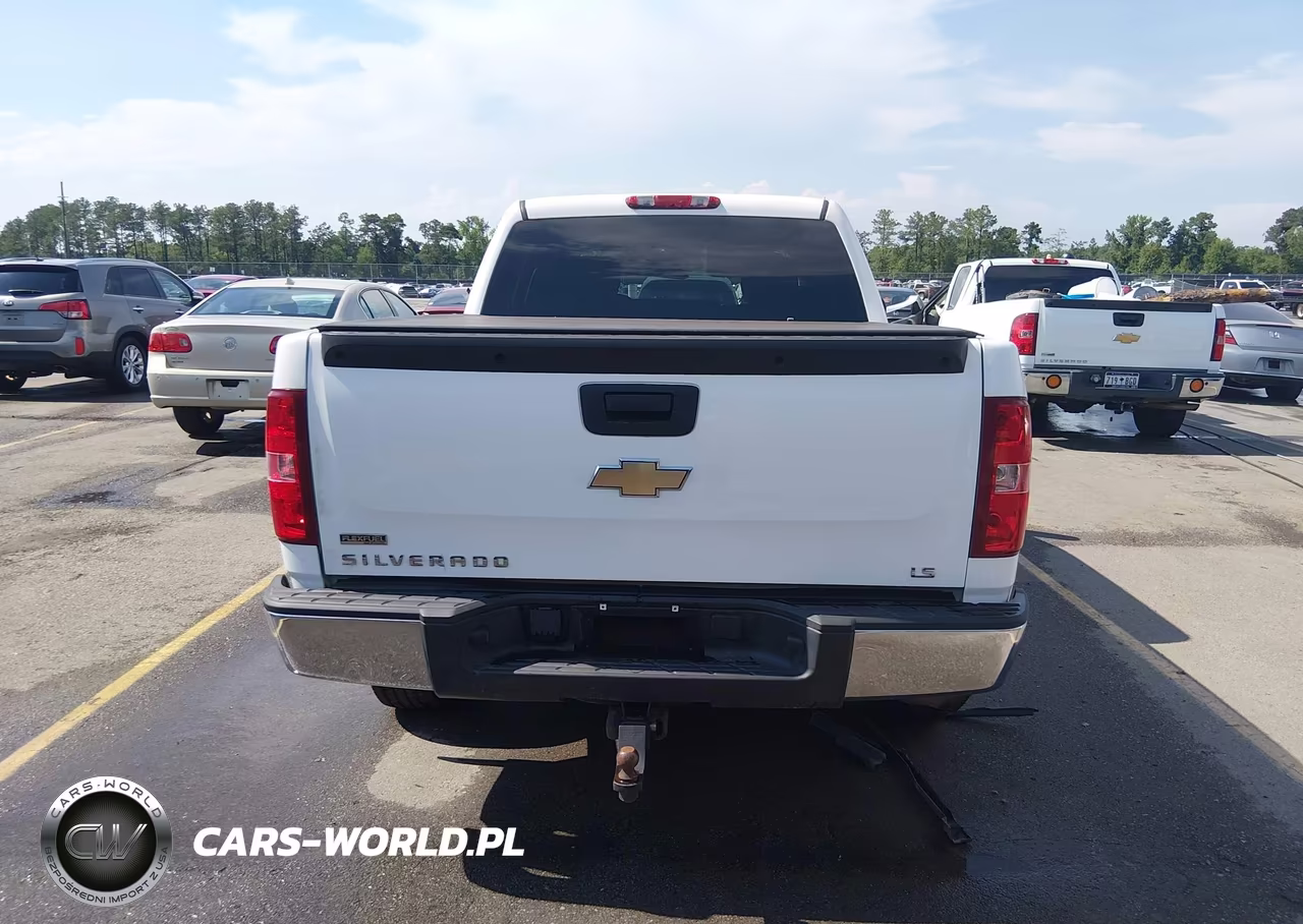 2010 Chevrolet Silverado 1500 Ls VIN:3GCRCREA8AG244786 - 16