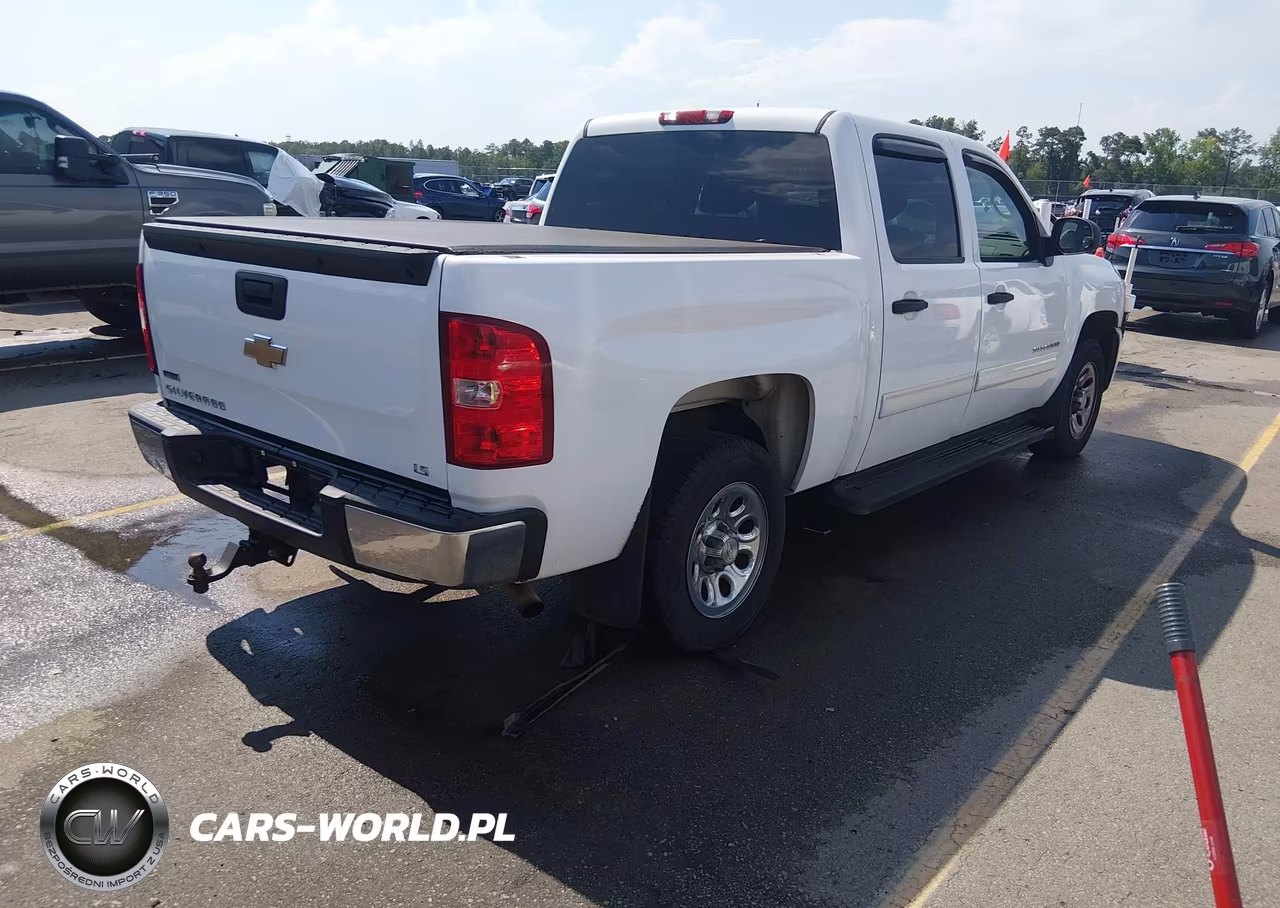 2010 Chevrolet Silverado 1500 Ls VIN:3GCRCREA8AG244786 - 4