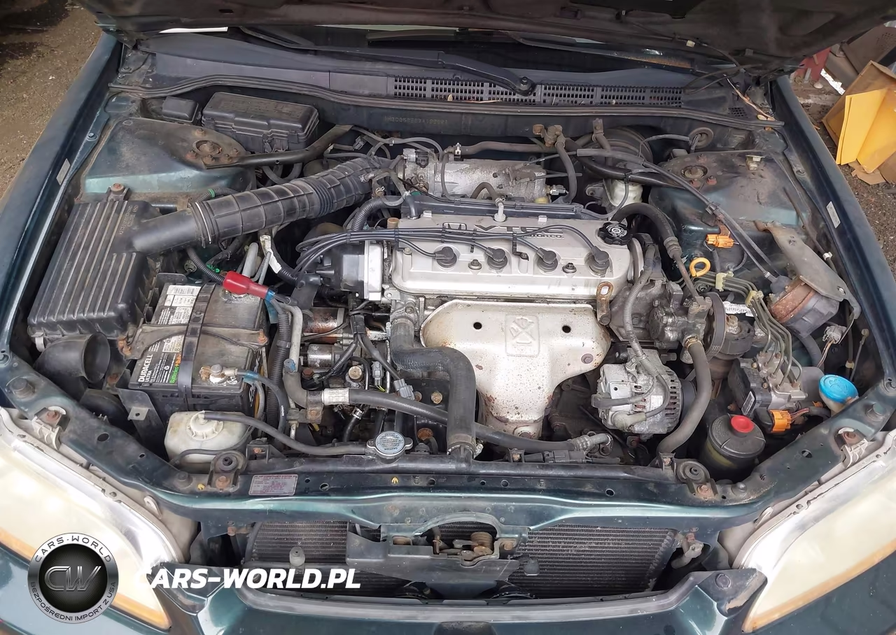 1998 Honda Accord Ex VIN:1HGCG5655WA186681 - 10