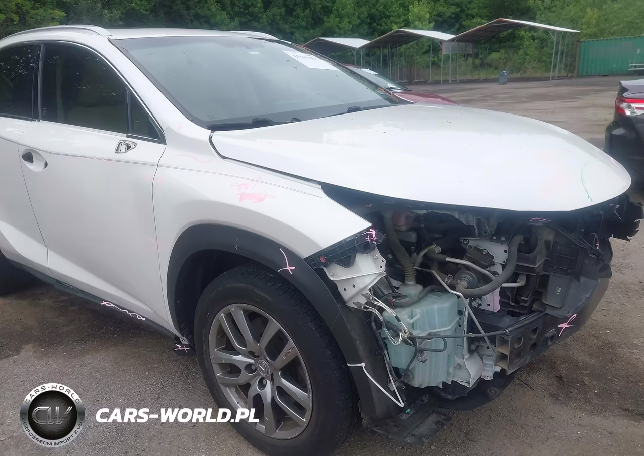 2016 Lexus Nx 200T VIN:JTJYARBZ8G2026549 - 19