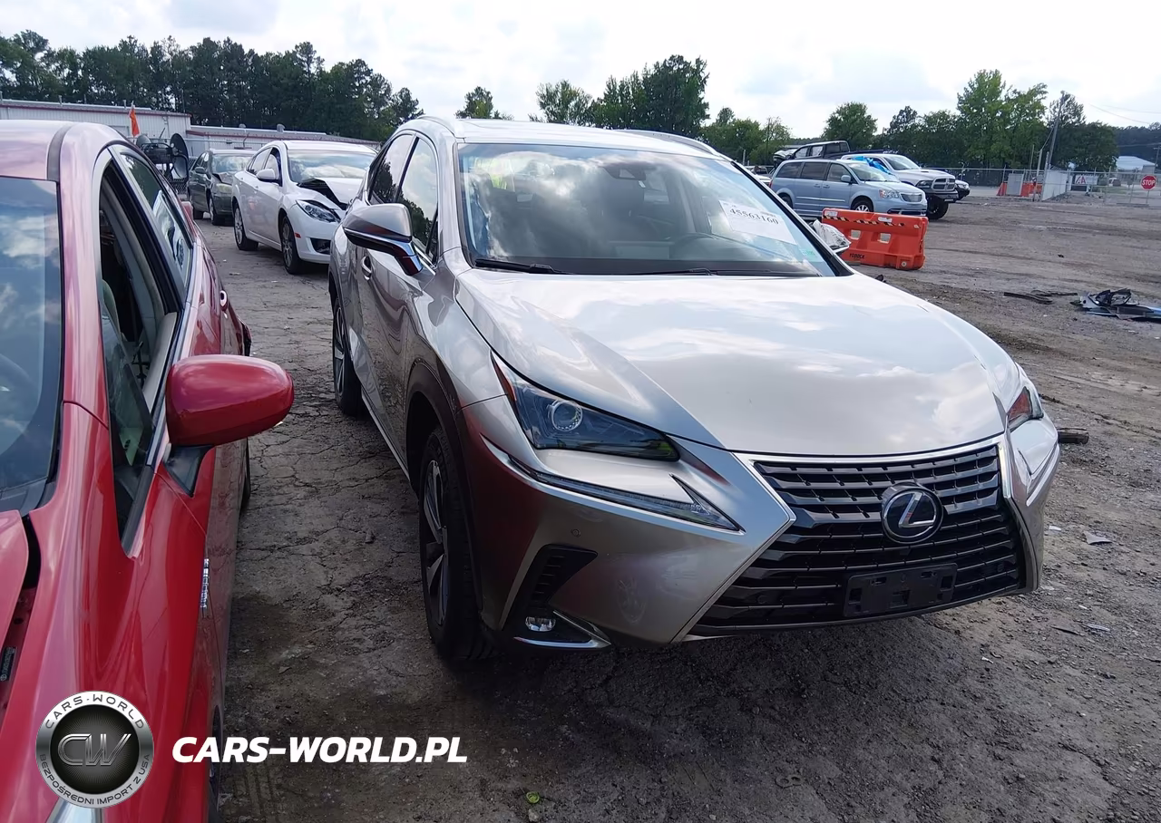 2019 Lexus Nx 300H