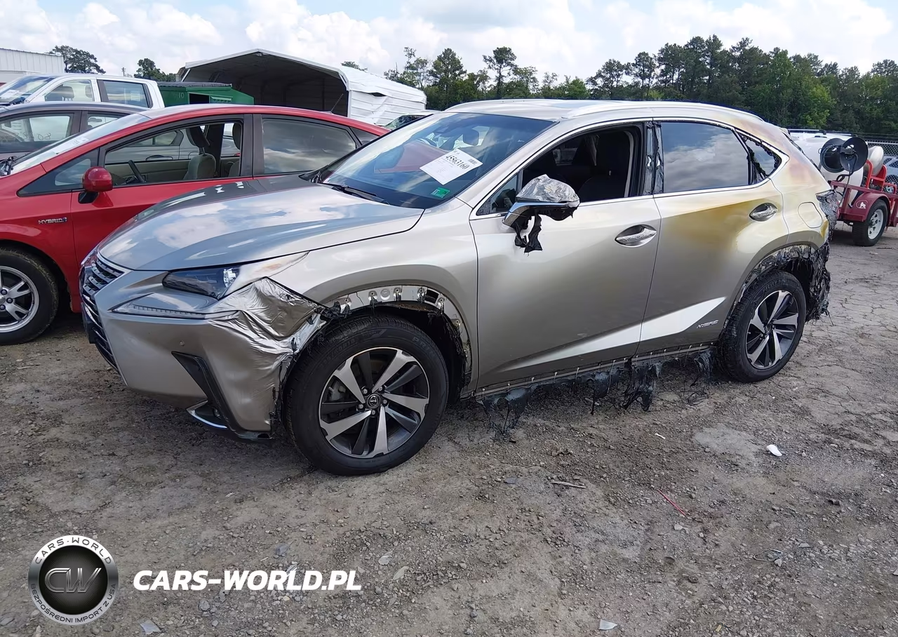 2019 Lexus Nx 300H VIN:JTJBJRBZ2K2110638 - 2