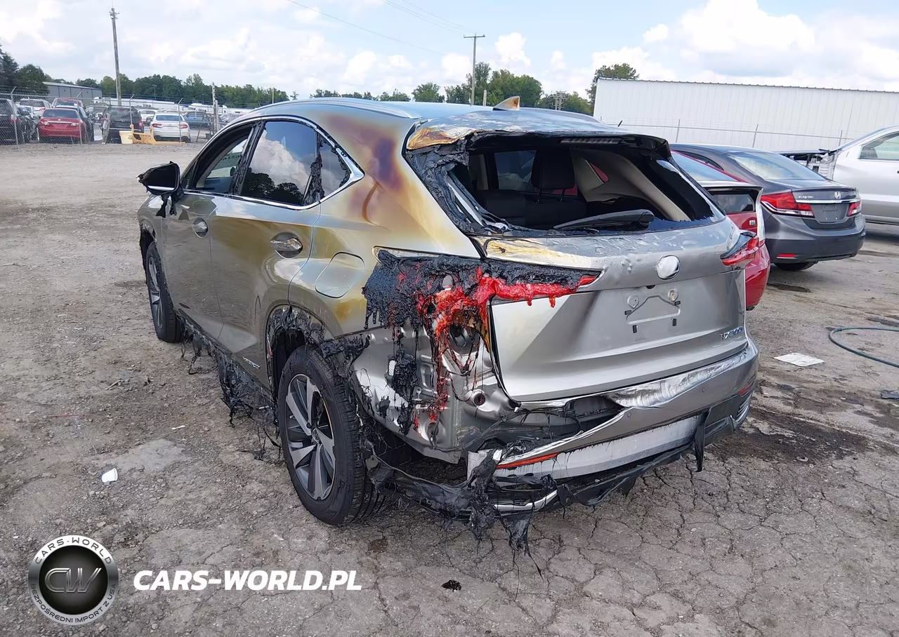 2019 Lexus Nx 300H VIN:JTJBJRBZ2K2110638 - 3