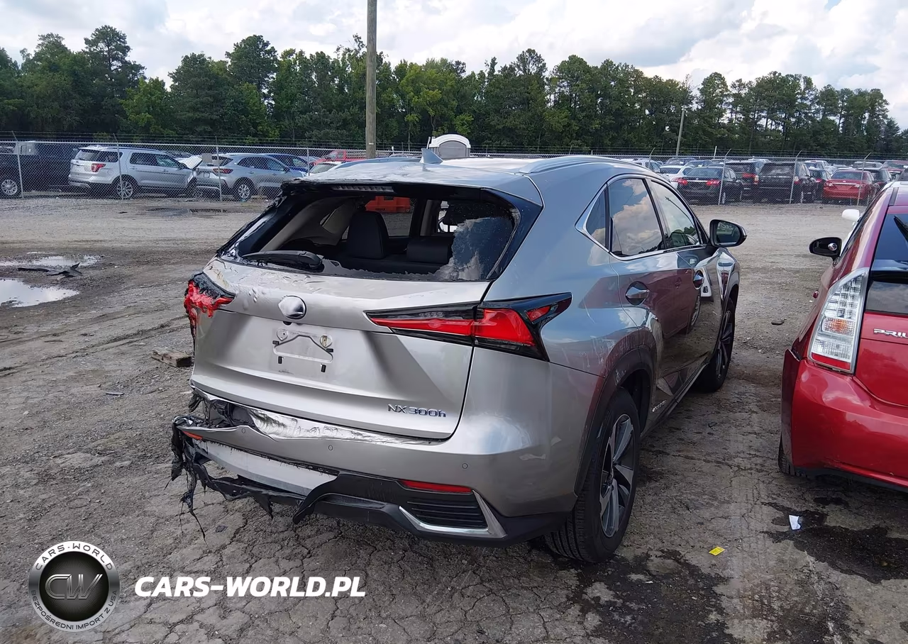 2019 Lexus Nx 300H VIN:JTJBJRBZ2K2110638 - 4