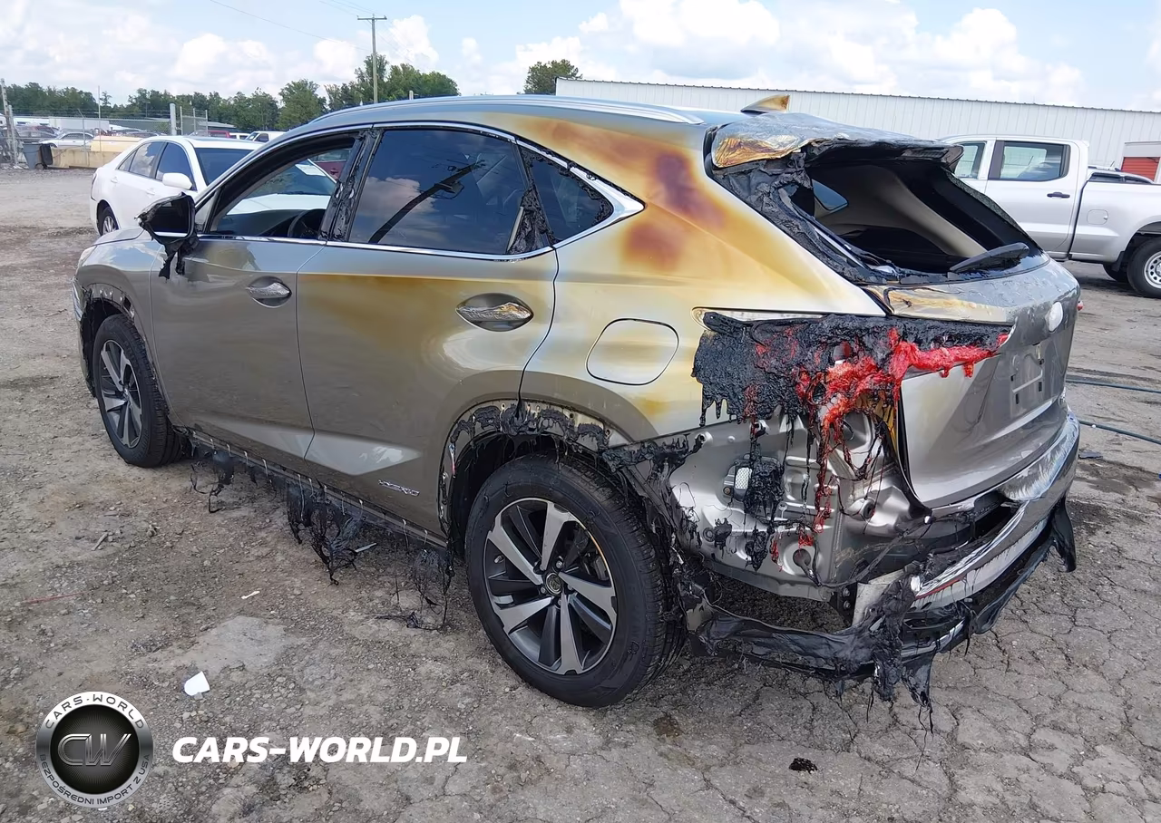 2019 Lexus Nx 300H VIN:JTJBJRBZ2K2110638 - 6