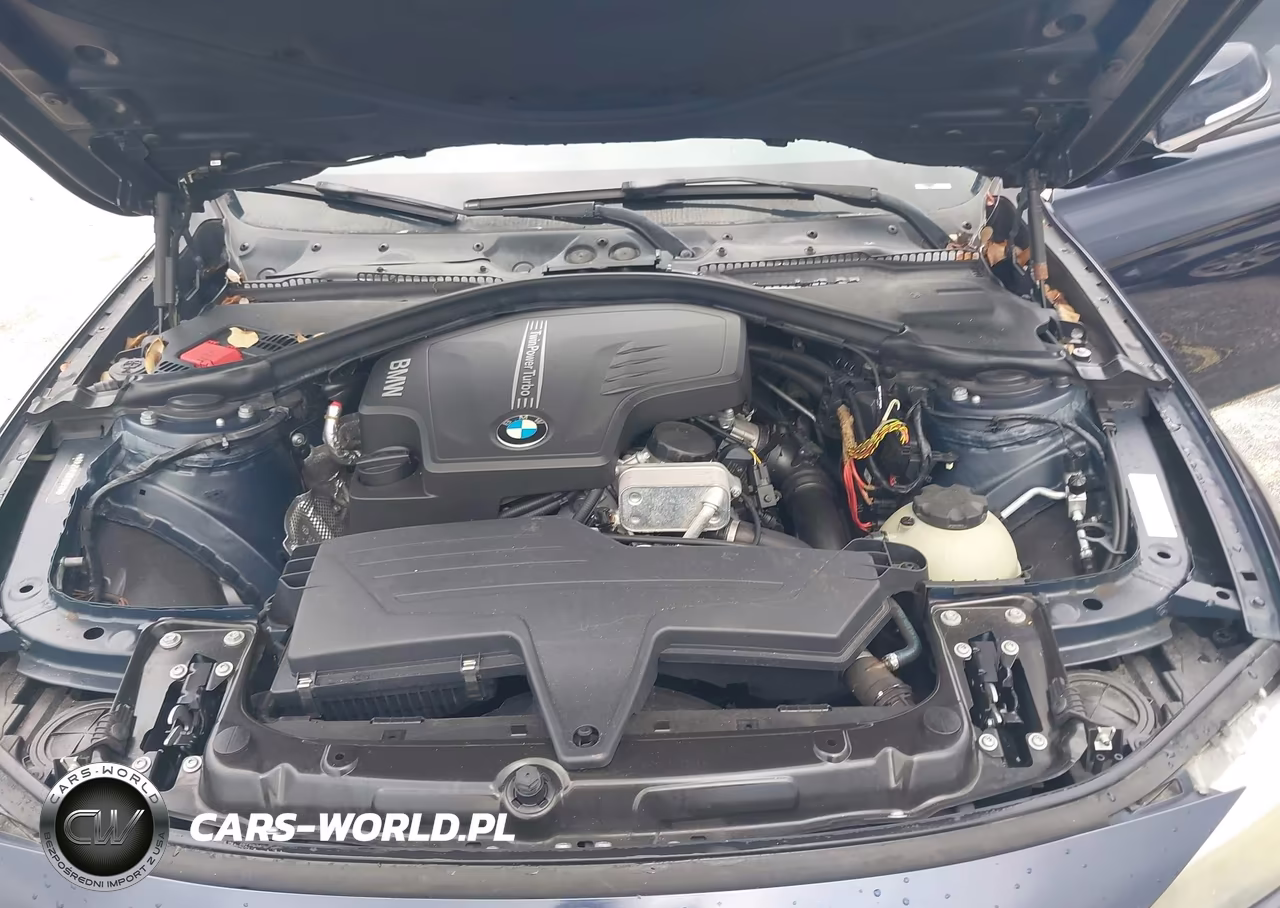 2013 BMW 320I VIN:WBA3B1C52DK128493 - 10