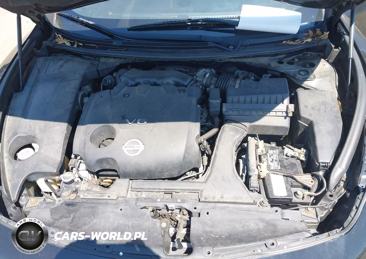 2014 Nissan Maxima 3.5 Sv VIN:1N4AA5AP9EC469819 - 10