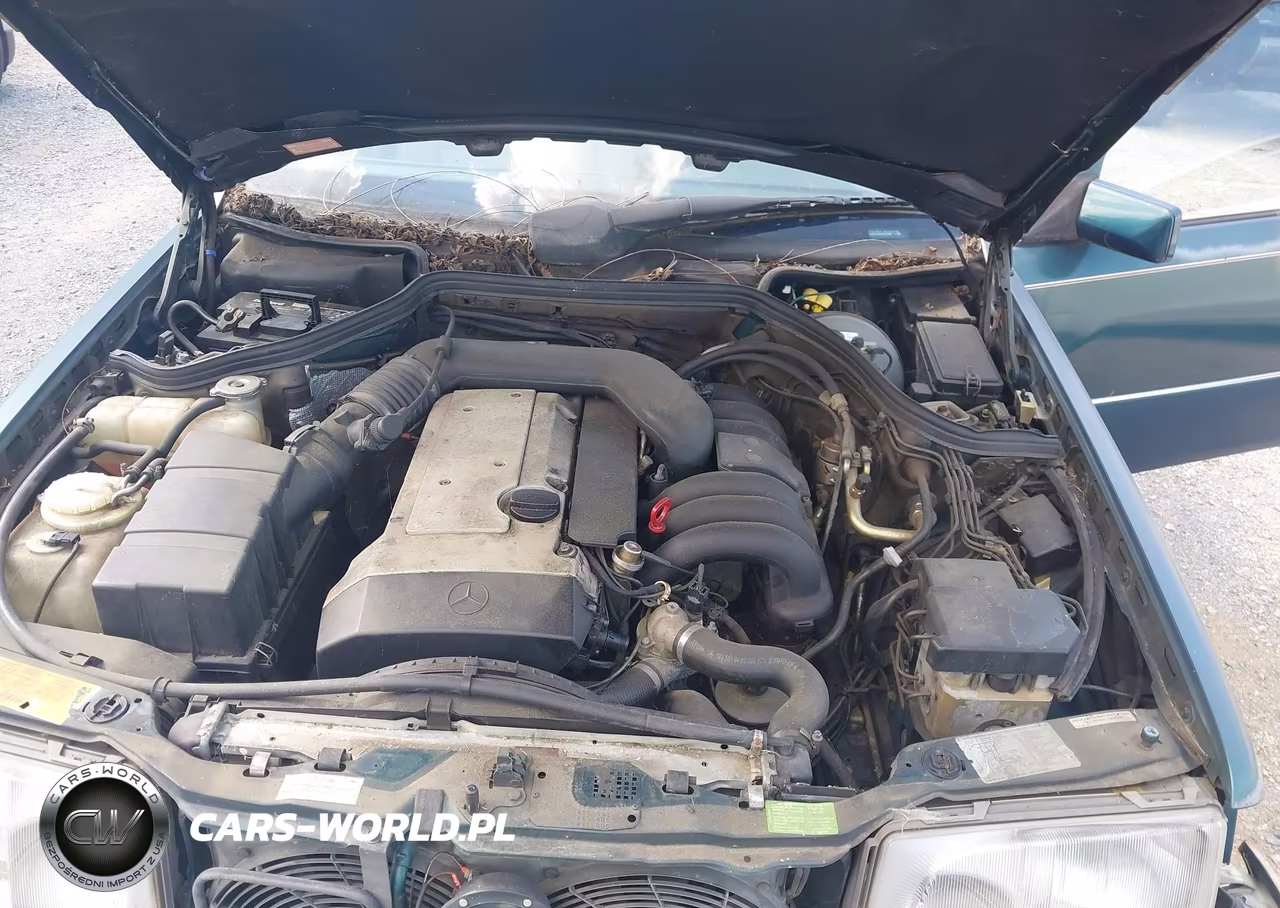 1995 Mercedes-Benz E 320 Base-320 Special VIN:WDBEA32EXSC251475 - 10