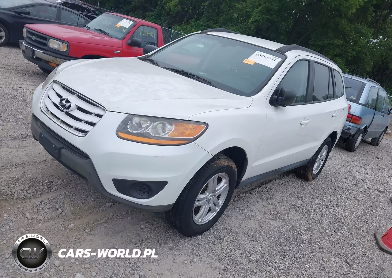 2010 Hyundai Santa Fe Gls VIN:5NMSG3AB4AH335446 - 2