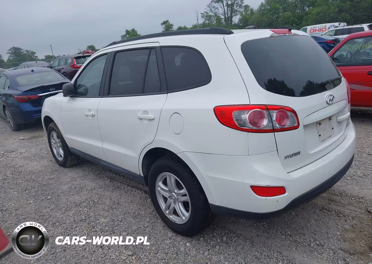 2010 Hyundai Santa Fe Gls VIN:5NMSG3AB4AH335446 - 3